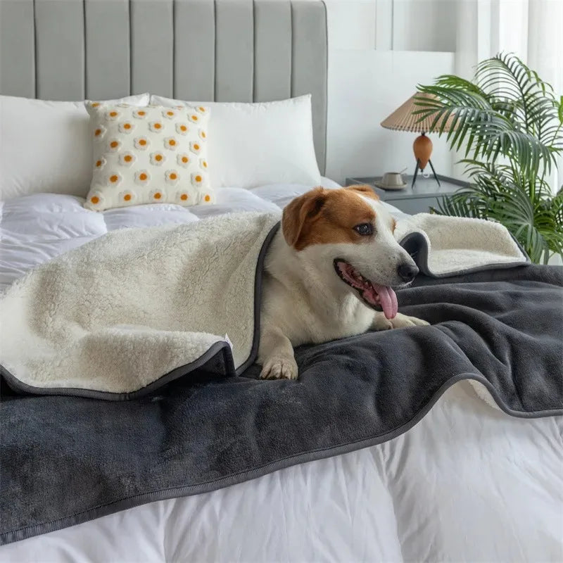 Couverture Imperméable Éco-Confort pour Animaux – Design Ardoise, Lavable, Durable & Élégante