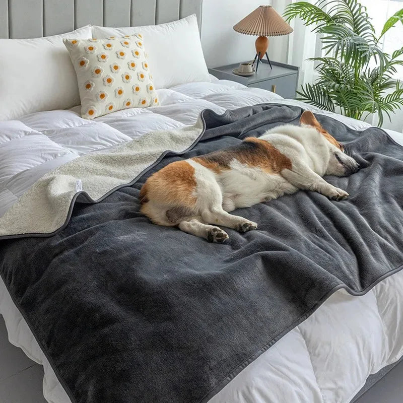Couverture Imperméable Éco-Confort pour Animaux – Design Ardoise, Lavable, Durable & Élégante